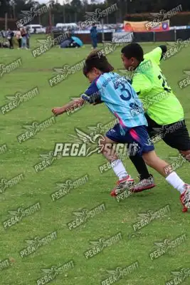 Foto de Búho Academia