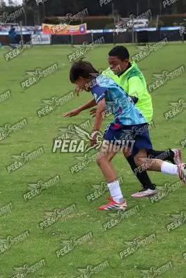Foto de Búho Academia
