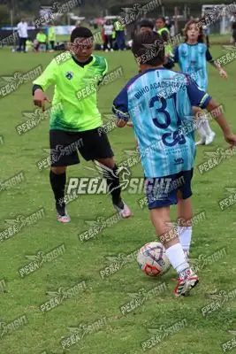 Foto de Búho Academia