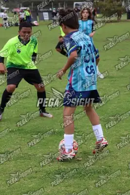 Foto de Búho Academia