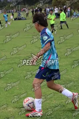 Foto de Búho Academia