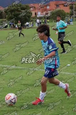 Foto de Búho Academia