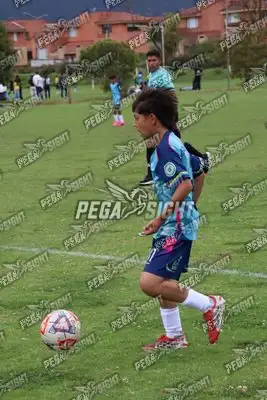 Foto de Búho Academia