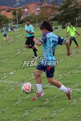Foto de Búho Academia