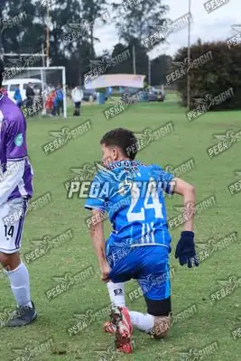 Foto de Dinastia