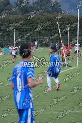 Foto de Dinastia