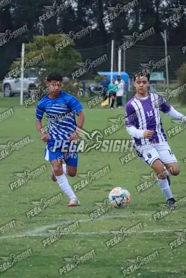Foto de Dinastia