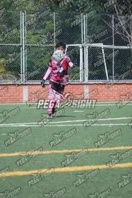 Foto de Super Campeones
