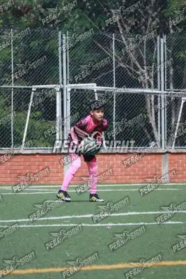 Foto de Super Campeones