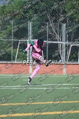Foto de Super Campeones