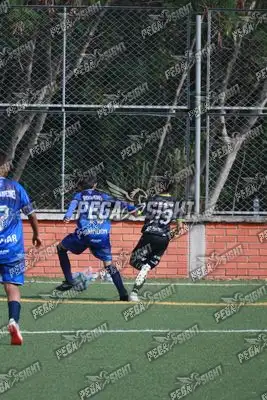 Foto de Super Campeones