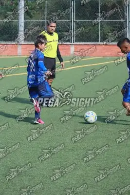 Foto de Super Campeones
