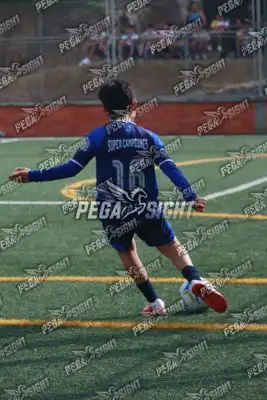 Foto de Super Campeones