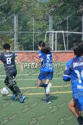 Foto de Super Campeones