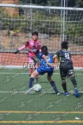 Foto de Super Campeones