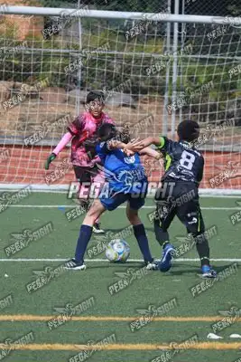Foto de Super Campeones