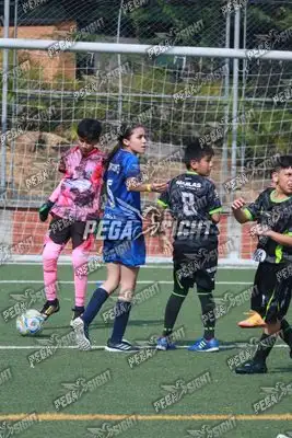 Foto de Super Campeones