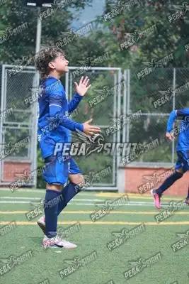 Foto de Super Campeones