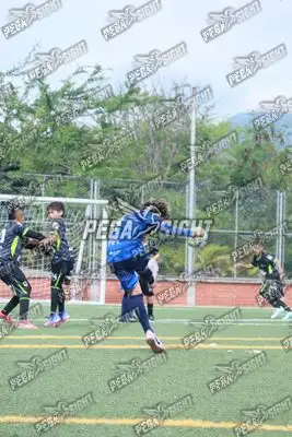 Foto de Super Campeones