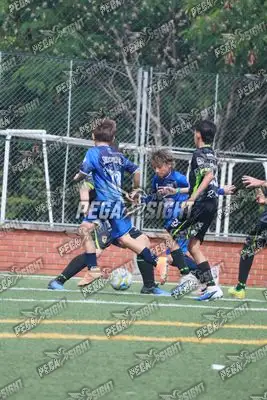 Foto de Super Campeones