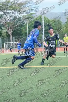 Foto de Super Campeones