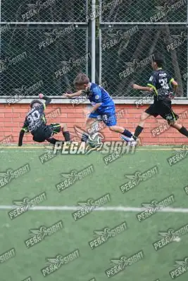 Foto de Super Campeones