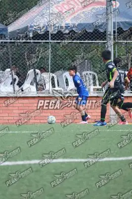 Foto de Super Campeones