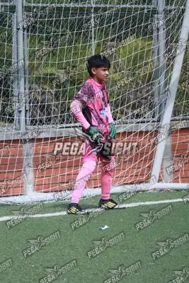 Foto de Super Campeones
