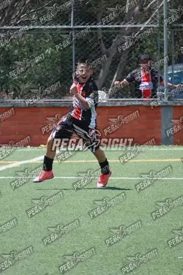 Foto de CD Flamengo