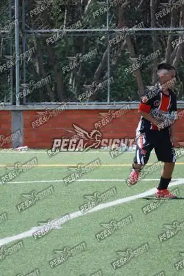 Foto de CD Flamengo