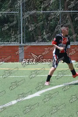 Foto de CD Flamengo
