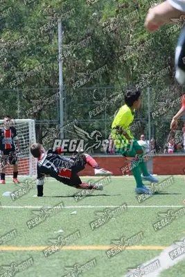 Foto de CD Flamengo