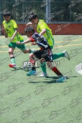 Foto de CD Flamengo