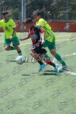 Foto de CD Flamengo