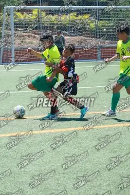 Foto de CD Flamengo