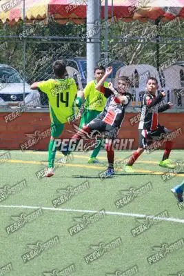 Foto de CD Flamengo