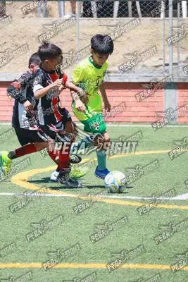 Foto de CD Flamengo
