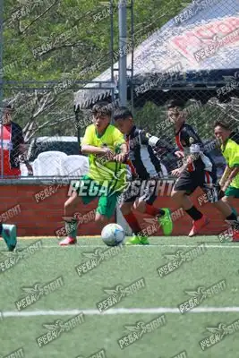 Foto de COMFENALCO
