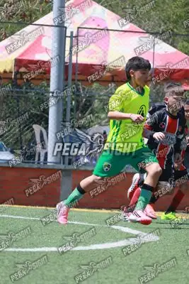 Foto de COMFENALCO