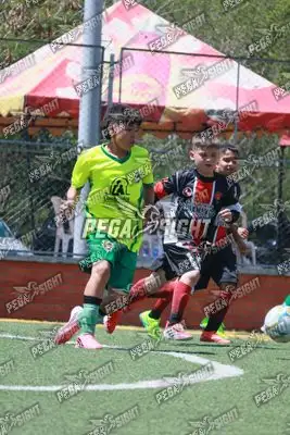 Foto de COMFENALCO