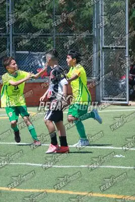 Foto de COMFENALCO