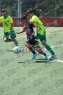 Foto de COMFENALCO