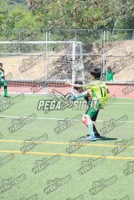 Foto de COMFENALCO
