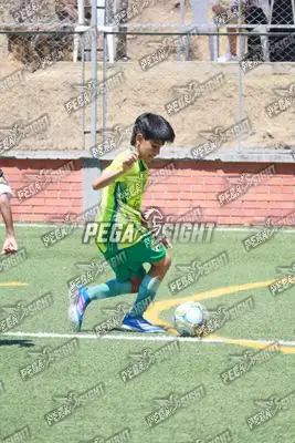 Foto de COMFENALCO