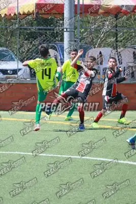 Foto de COMFENALCO