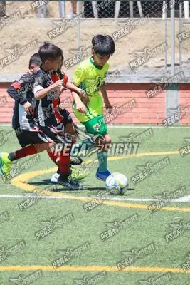 Foto de COMFENALCO