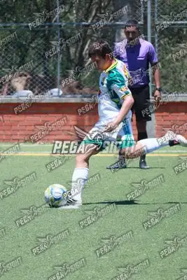 Foto de Tigres ER-FC