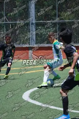 Foto de Tigres ER-FC