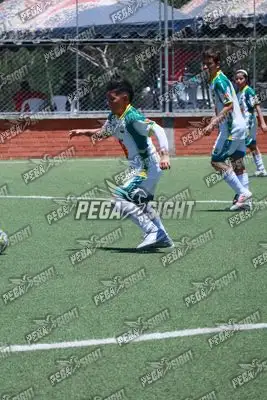 Foto de Tigres ER-FC