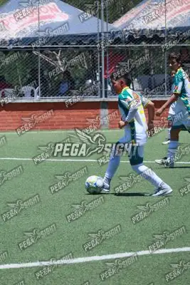 Foto de Tigres ER-FC